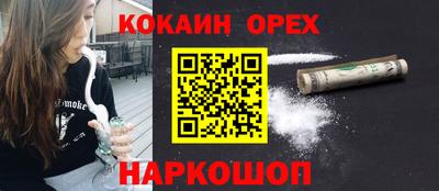 сатива Кандалакша
