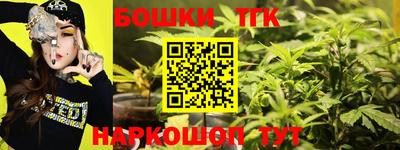apvp Канаш