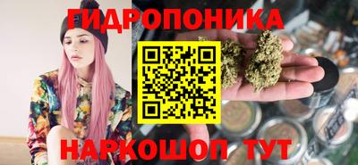 spice Камышлов