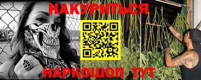 сатива Кандалакша