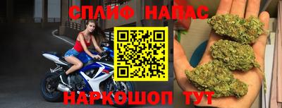 сатива Кандалакша
