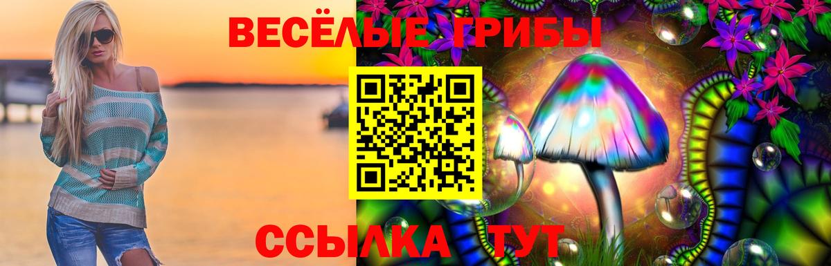 Псилоцибиновые грибы ЛСД  Вход с VPN  Ленинск-Кузнецкий 