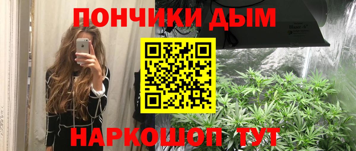 Бошки марихуана план  Марихуана OG Kush  Вход с VPN  Марихуана конопля  Ленинск-Кузнецкий  Бошки марихуана гибрид 